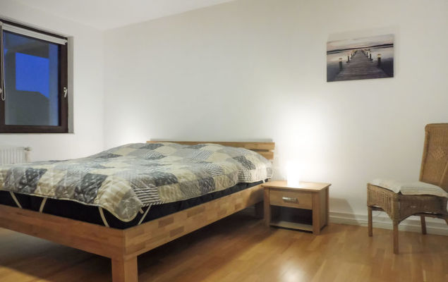 Austernfischer - Photo 7