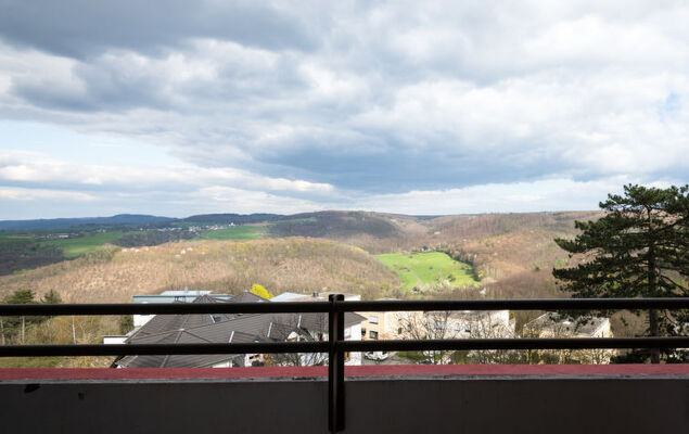 Waldidylle (A601) - Photo 24