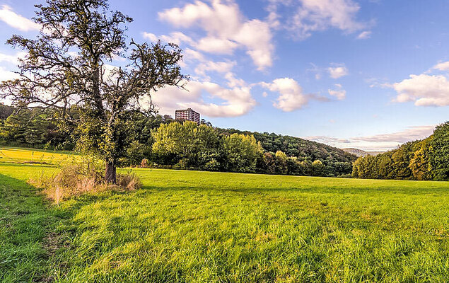 Waldidylle (A601) - Photo 32