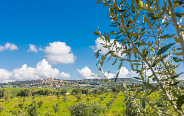 Mattarello - Photo 31