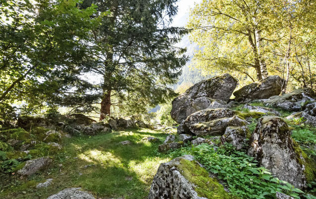 Val di Mello Mountain Flat - Photo 38