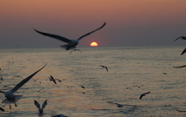 Fischer sien Huus - Photo 67