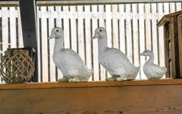 Troadkasten - Photo 13