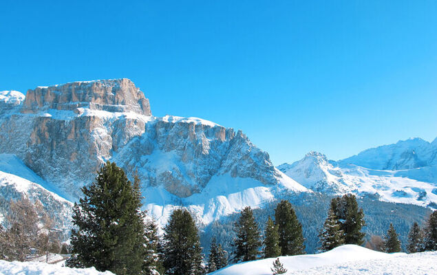 Cesa Galadriel - Photo 43