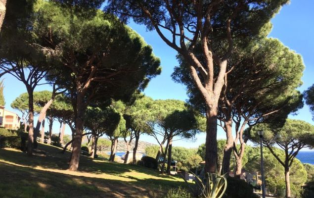 Les Coteaux de la Nartelle - Photo 5