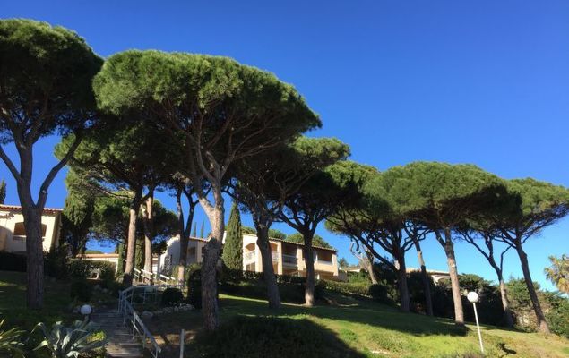 Les Coteaux de la Nartelle - Photo 8